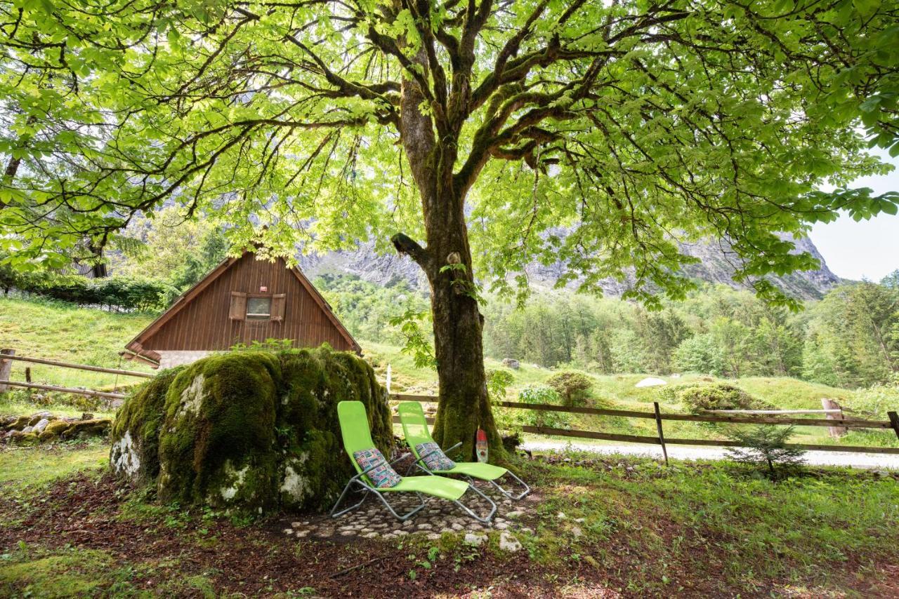 Fairy Tale House Villa เทรนตา ภายนอก รูปภาพ